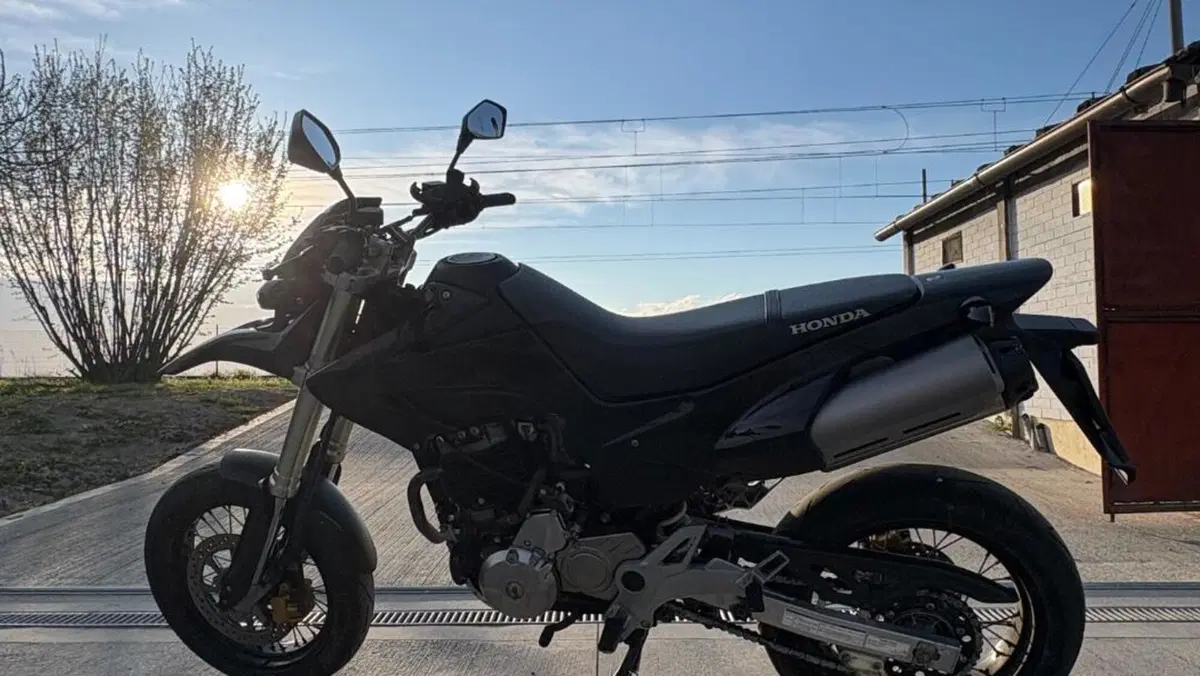 Honda FMX 650  (6)