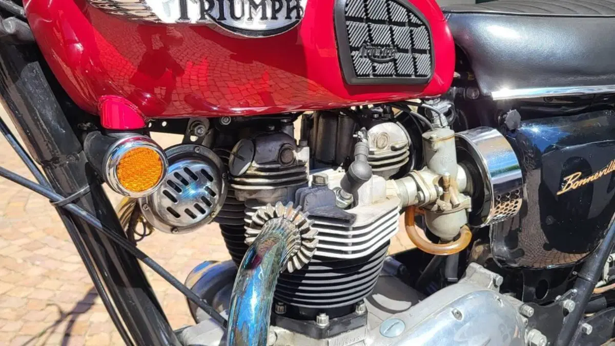 Triumph   (3)