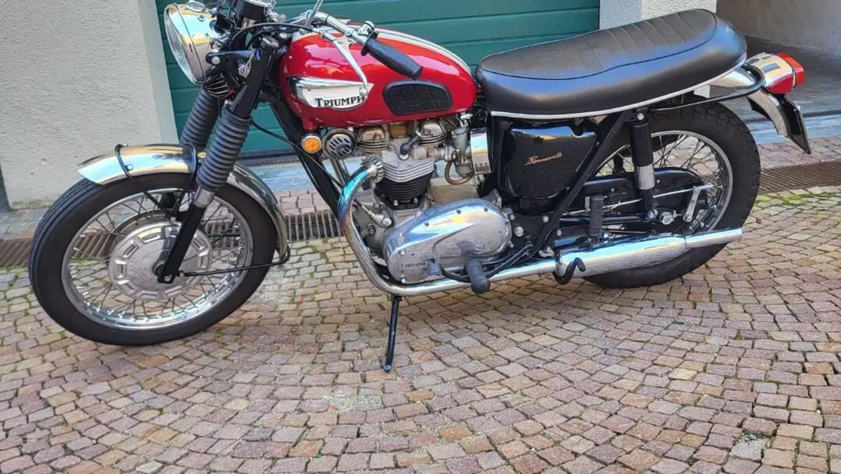 Triumph   (5)