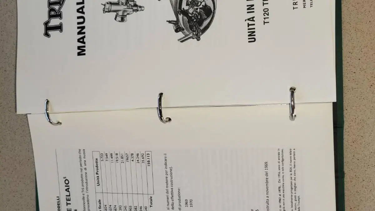 Triumph   (7)