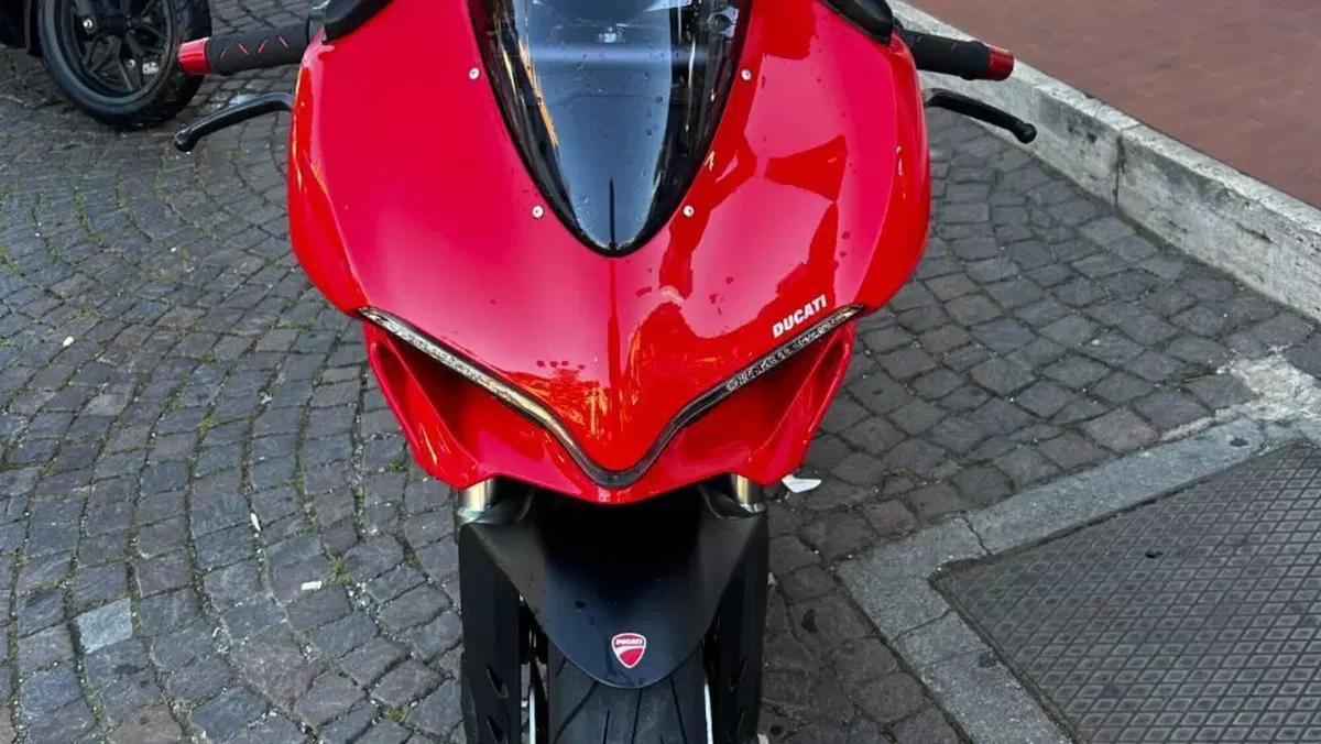 Ducati 959 Panigale (2016 - 19)  (3)