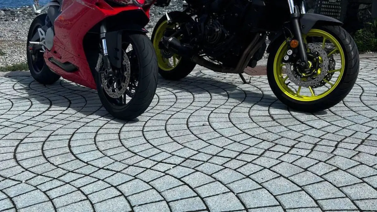 Ducati 959 Panigale (2016 - 19)  (5)