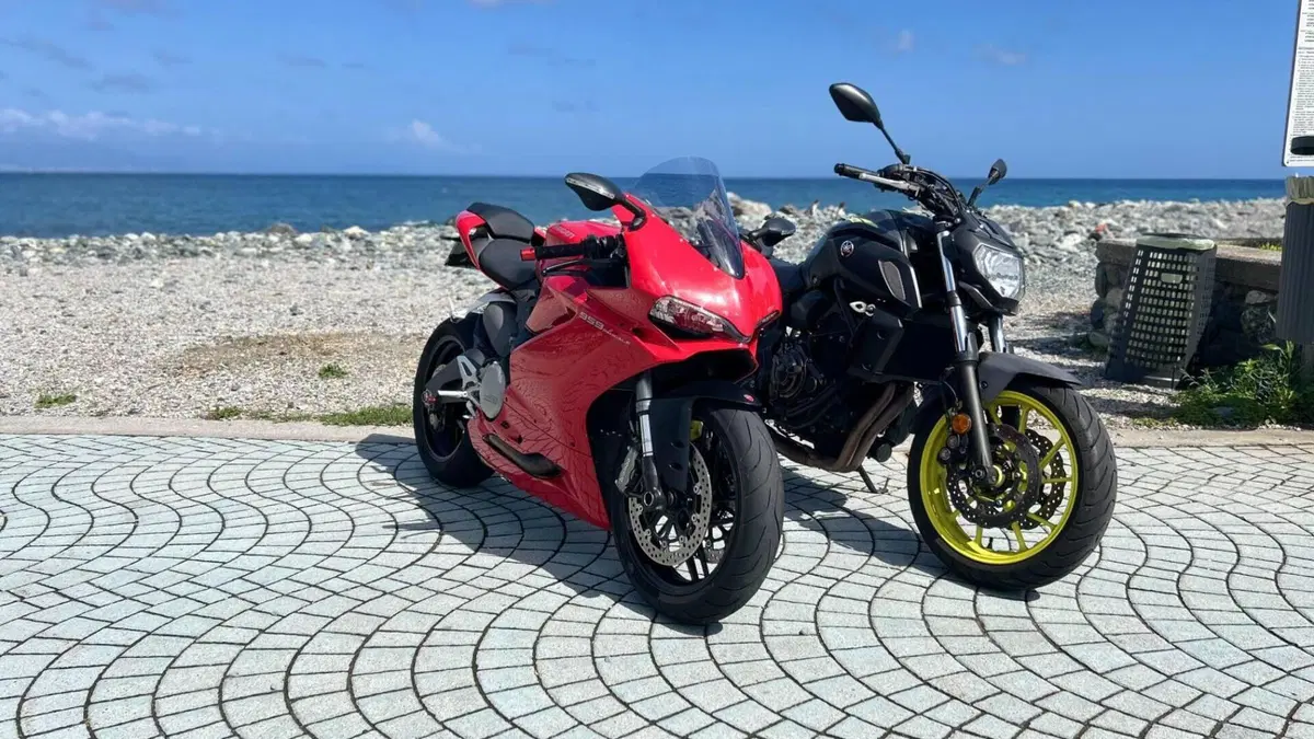 Ducati 959 Panigale (2016 - 19)  (6)