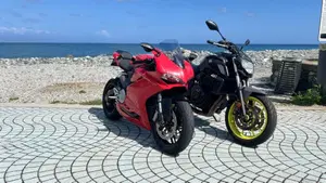 Ducati 959 Panigale (2016 - 19)  (6)
