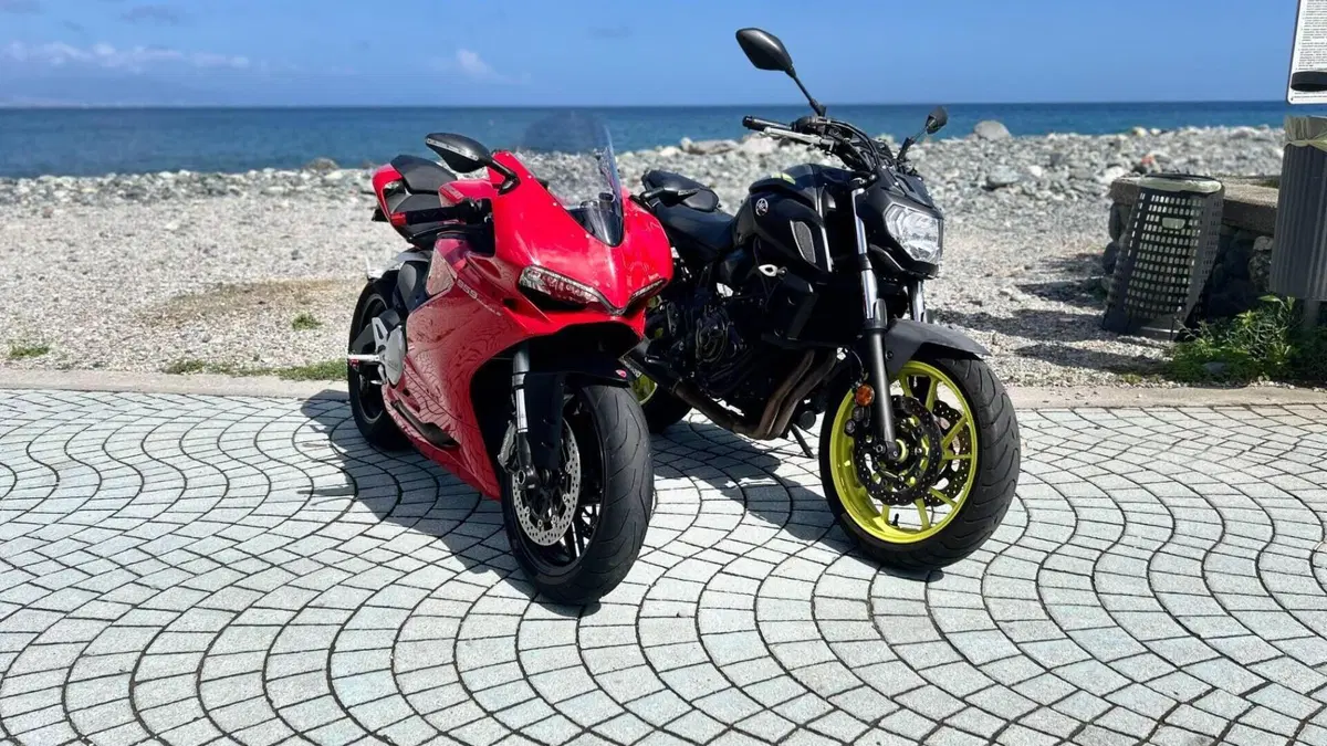 Ducati 959 Panigale (2016 - 19)  (7)
