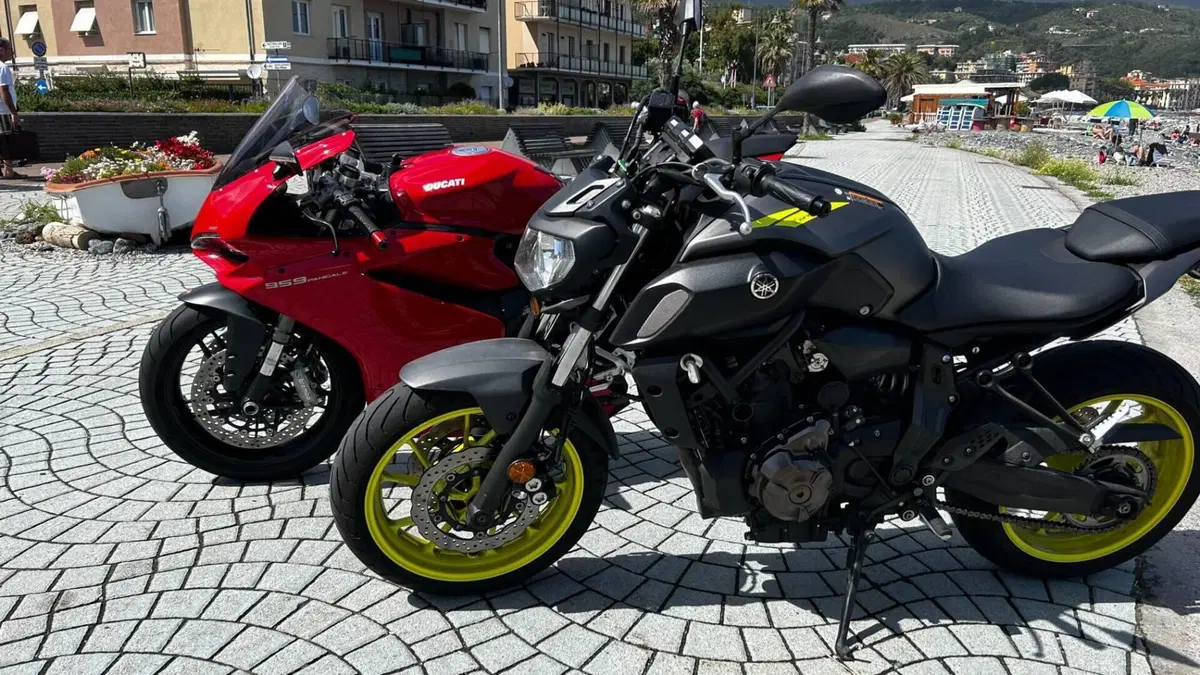 Ducati 959 Panigale (2016 - 19)  (8)