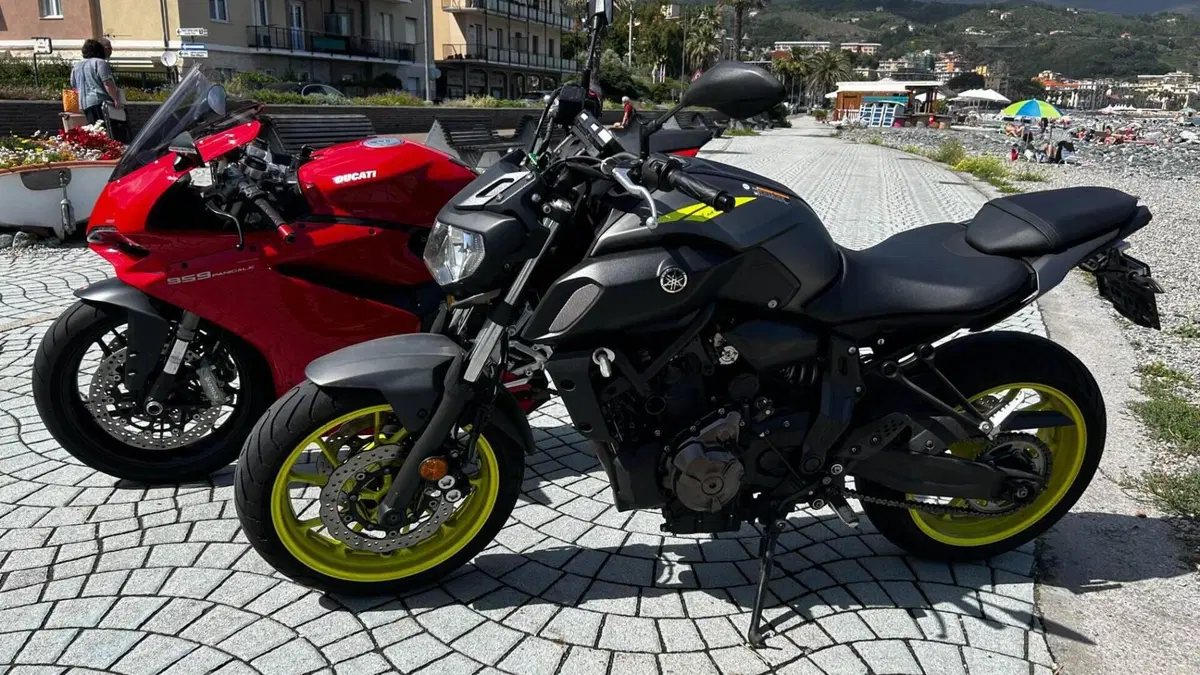 Ducati 959 Panigale (2016 - 19)  (9)