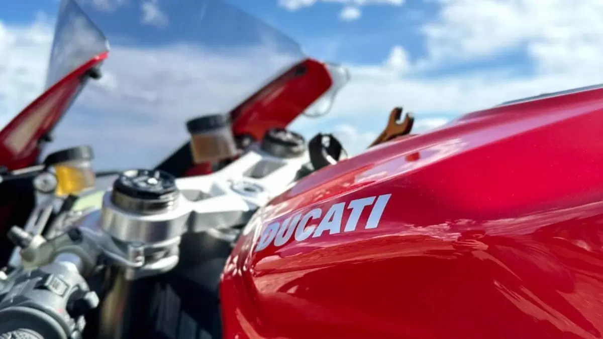 Ducati 959 Panigale (2016 - 19)  (13)