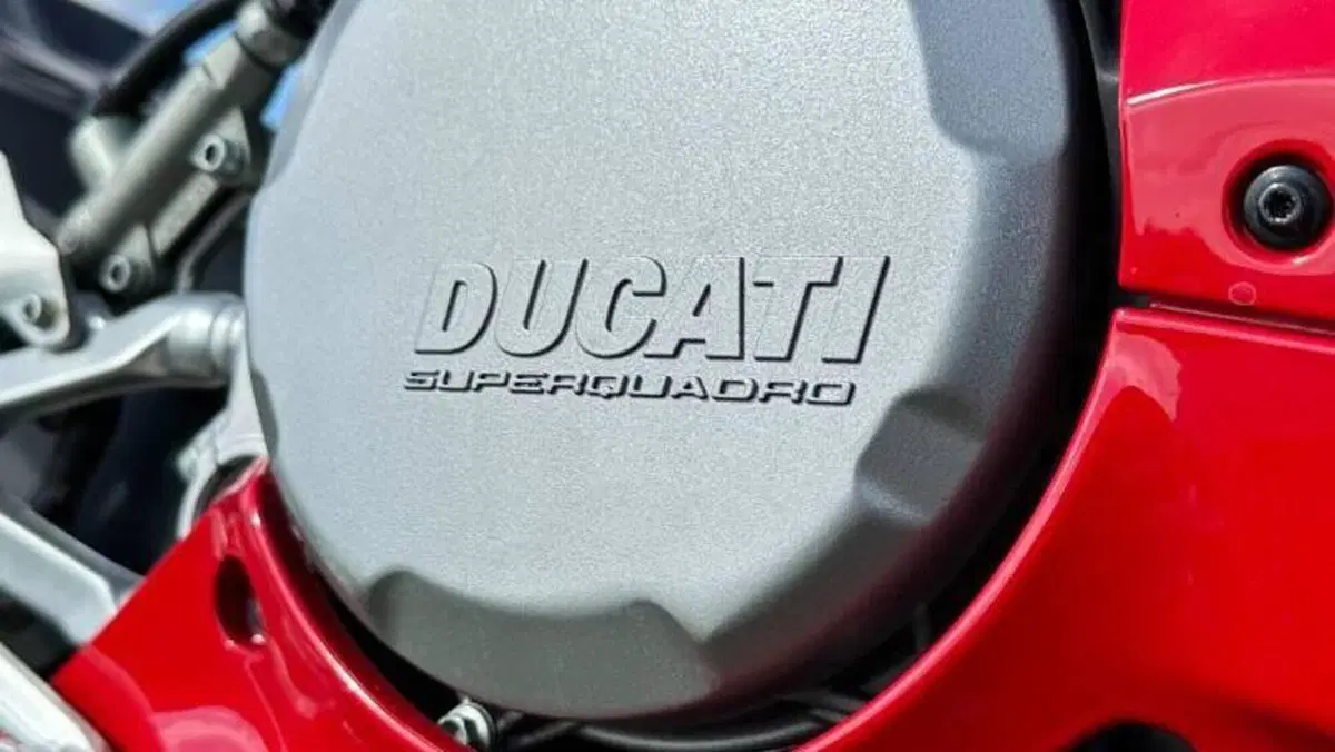 Ducati 959 Panigale (2016 - 19)  (20)