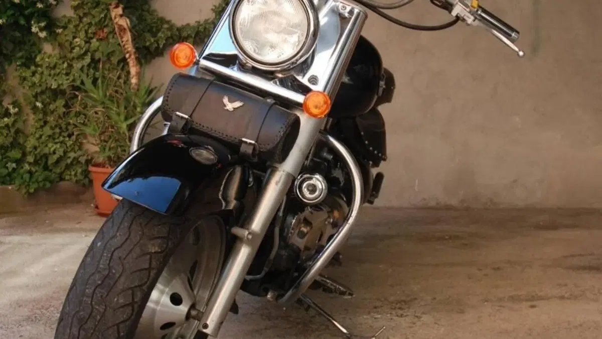 Suzuki VL 1500 Intruder  (3)