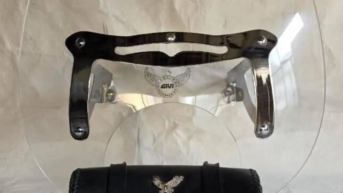 Suzuki VL 1500 Intruder  (19)