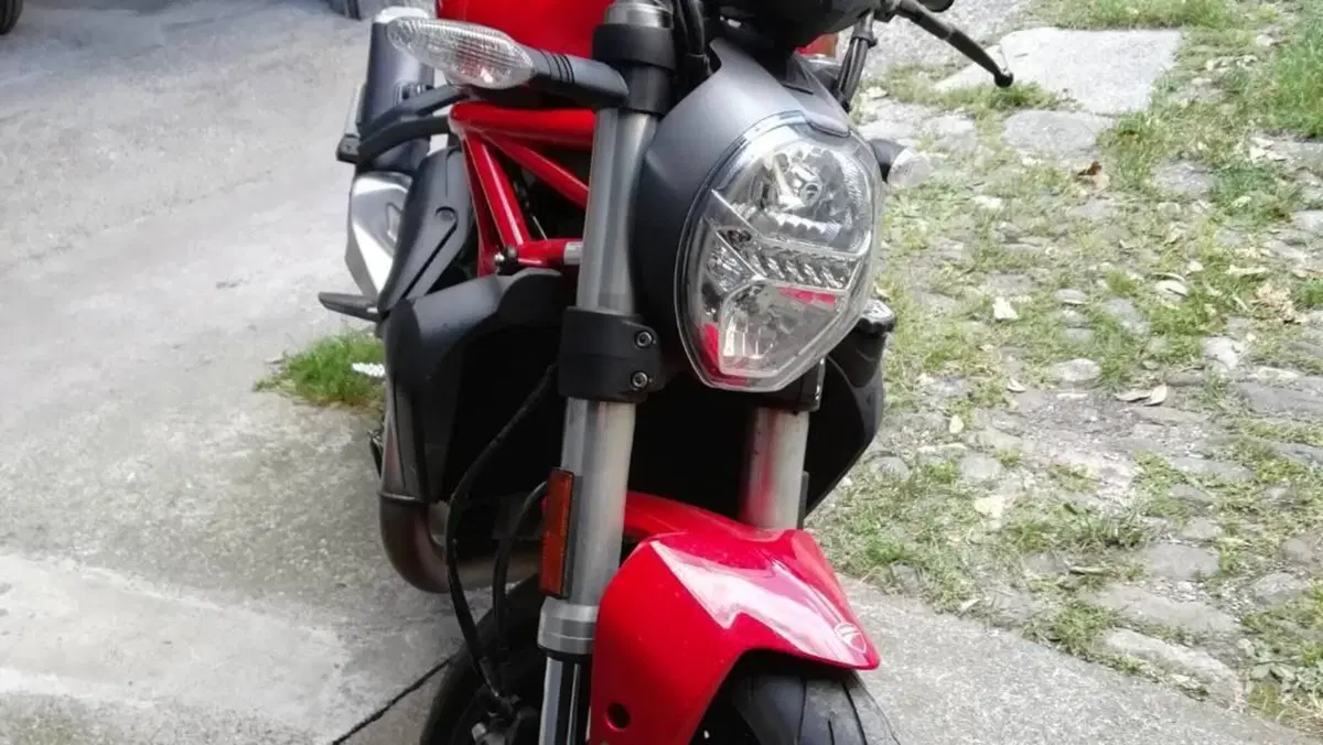 Ducati Monster 821 (2018 - 20)  (2)