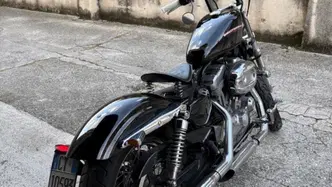Harley-Davidson 883 Custom (2006 - 07) - XL 883C usata