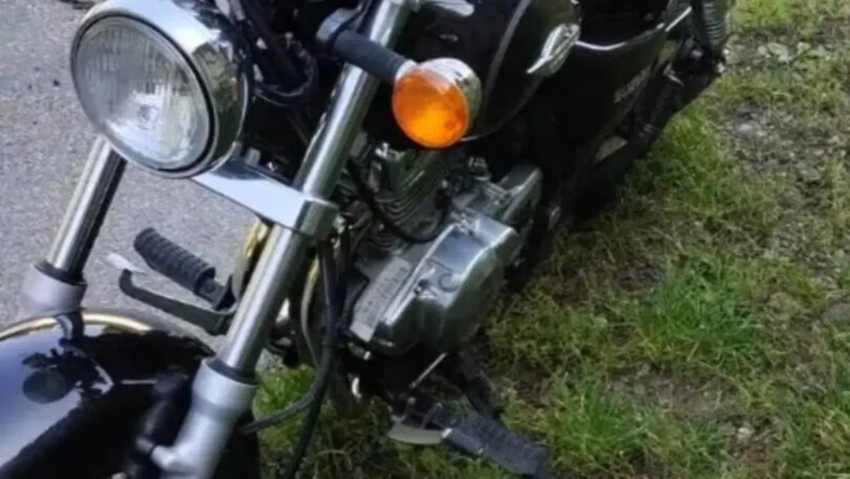 Suzuki Marauder GZ 250  (3)