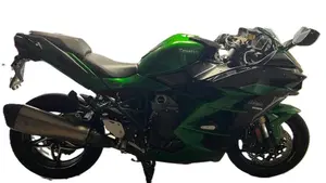 Kawasaki Ninja H2 SX SE (2018 - 20)  (3)