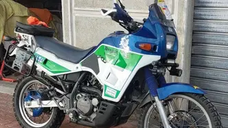 Kawasaki KLR 650 (1988 - 00) usata