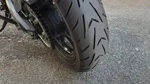 Suzuki V-Strom 800SE (2023 - 24)  (9)