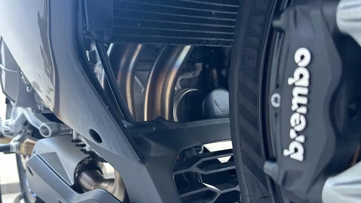 Aprilia RS 660 Factory (2025 - 26)  (12)