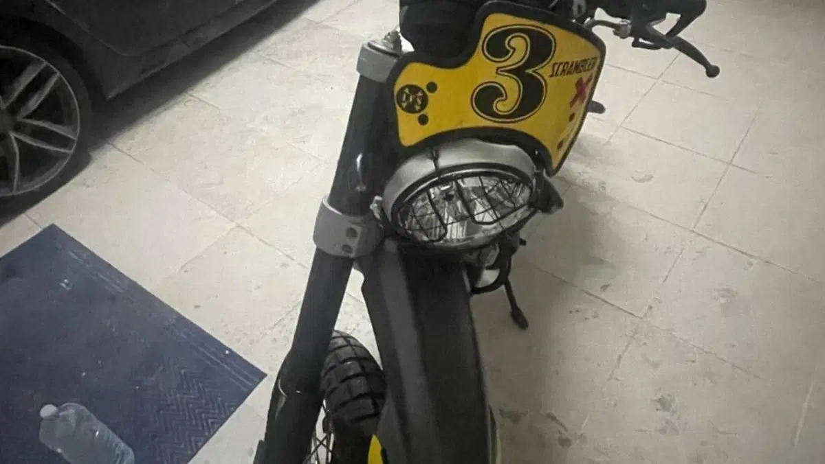 Ducati Scrambler 800 Desert Sled (2017 - 20)  (2)