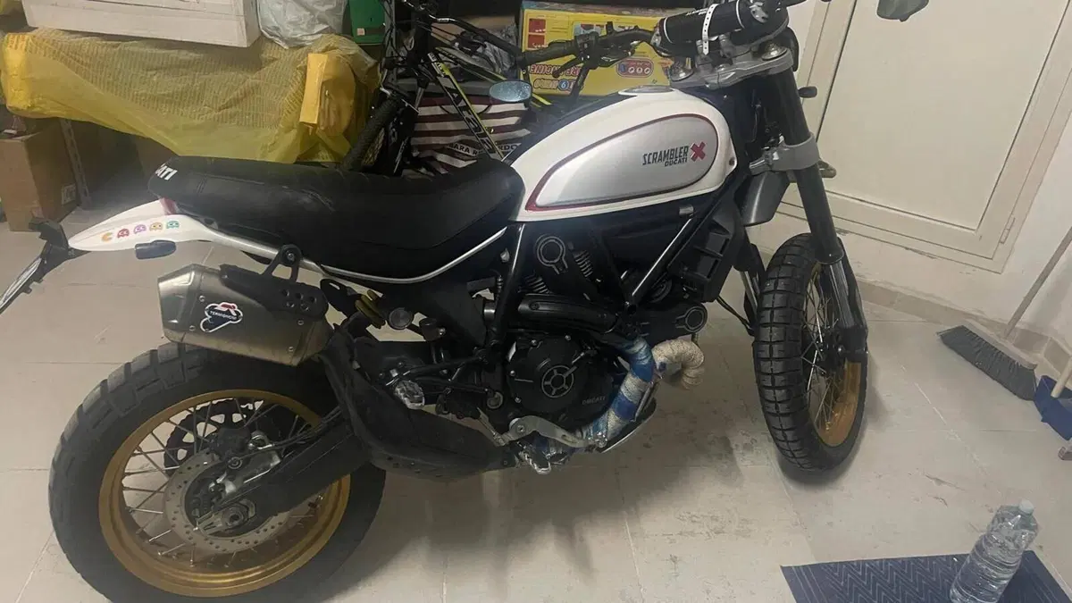 Ducati Scrambler 800 Desert Sled (2017 - 20)  (3)