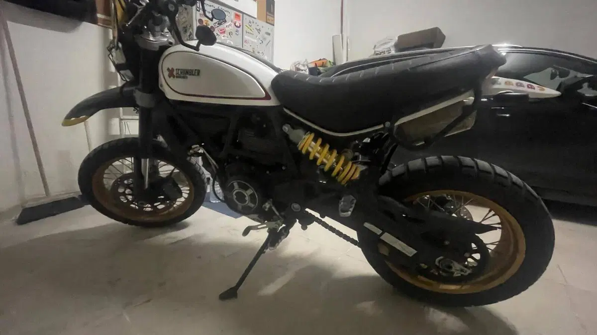 Ducati Scrambler 800 Desert Sled (2017 - 20)  (4)