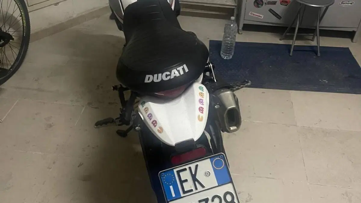 Ducati Scrambler 800 Desert Sled (2017 - 20)  (6)