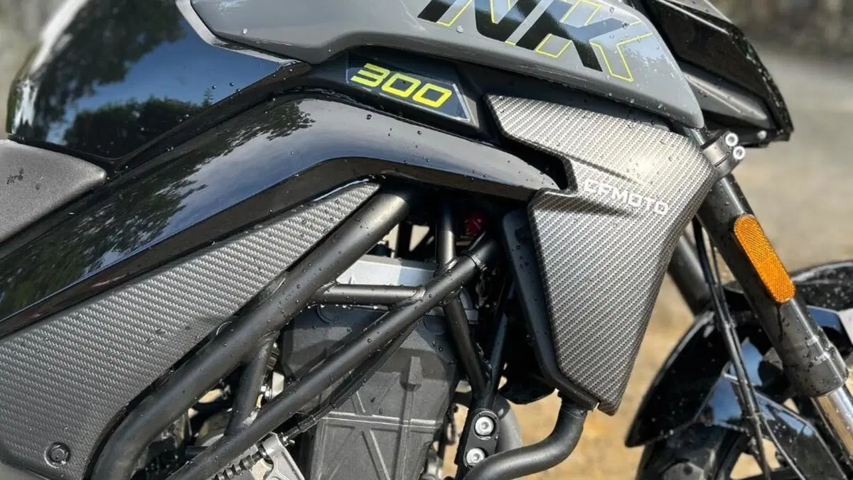CFMOTO 300NK (2021 - 26)  (7)