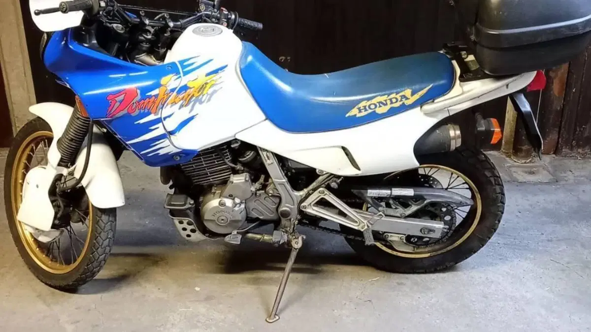Honda NX 650 Dominator (1991 - 95)  (3)