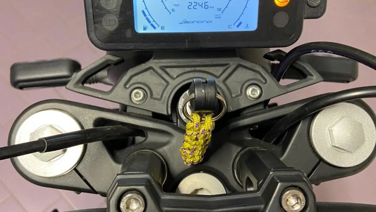 Benelli Leoncino 125 (2022 - 25)  (5)