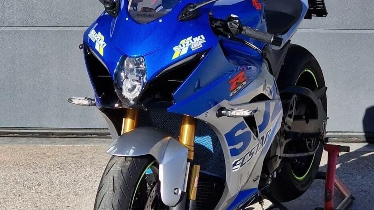 Suzuki GSX-R1000R Anniversary (2020)  (2)