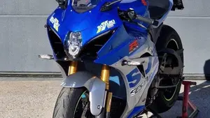 Suzuki GSX-R1000R Anniversary (2020)  (2)