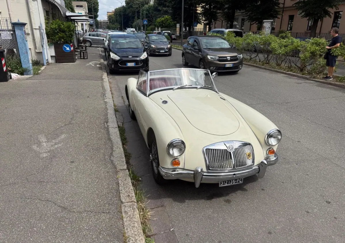 Mg Mg1  (4)