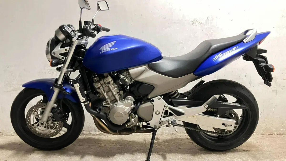Honda Hornet 600 (2003 - 04) 