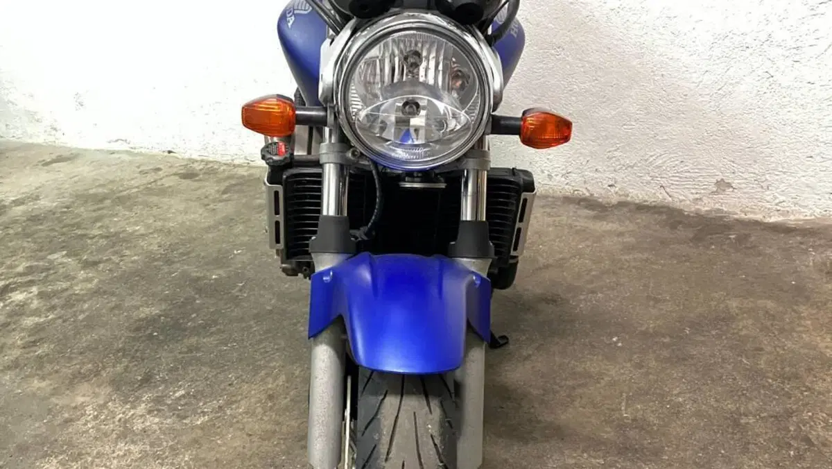 Honda Hornet 600 (2003 - 04)  (7)