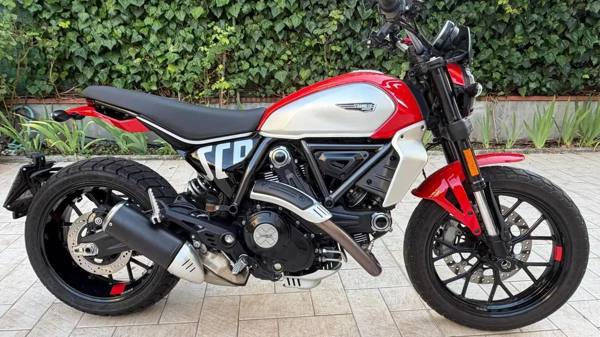 Ducati Scrambler 800 Icon (2023 - 24) 
