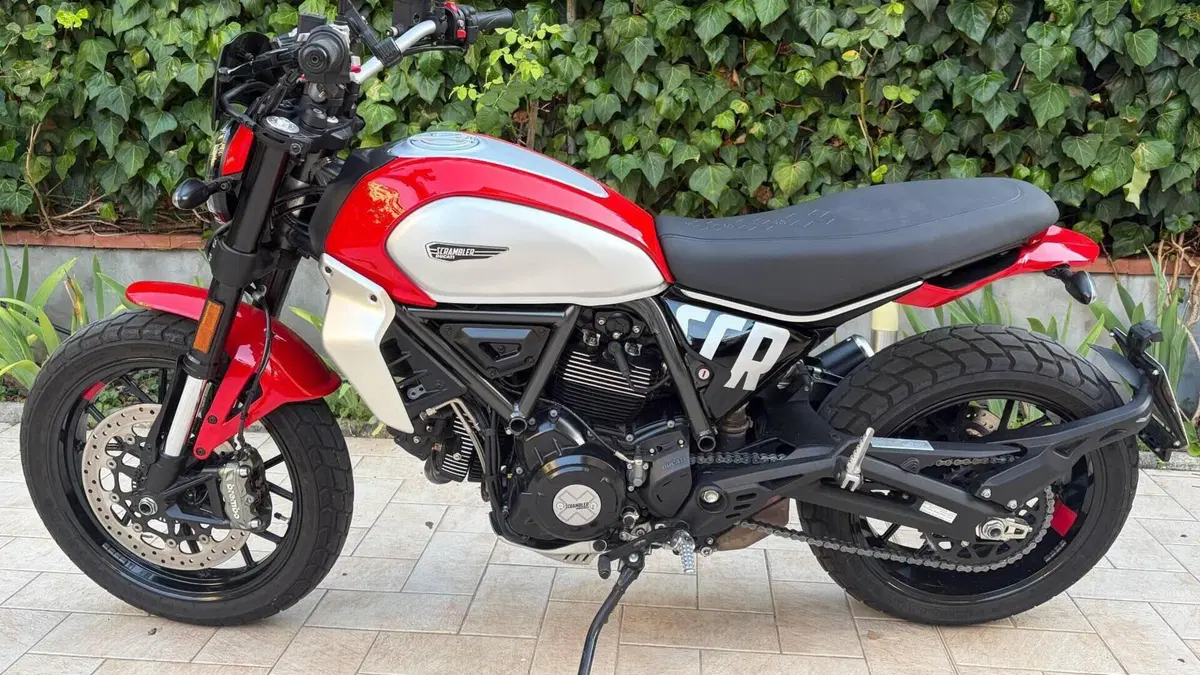 Ducati Scrambler 800 Icon (2023 - 24)  (3)
