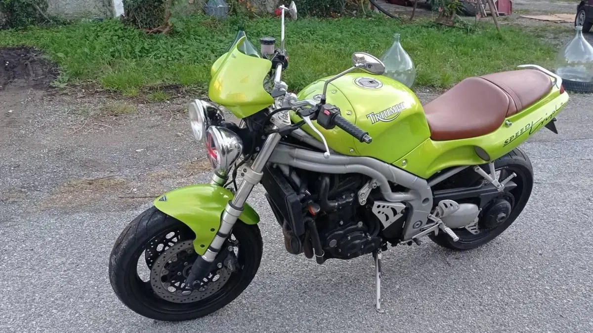 Triumph Speed Triple 955 (1998 - 01)  (4)
