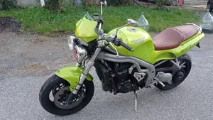 Triumph Speed Triple 955 (1998 - 01)  (4)