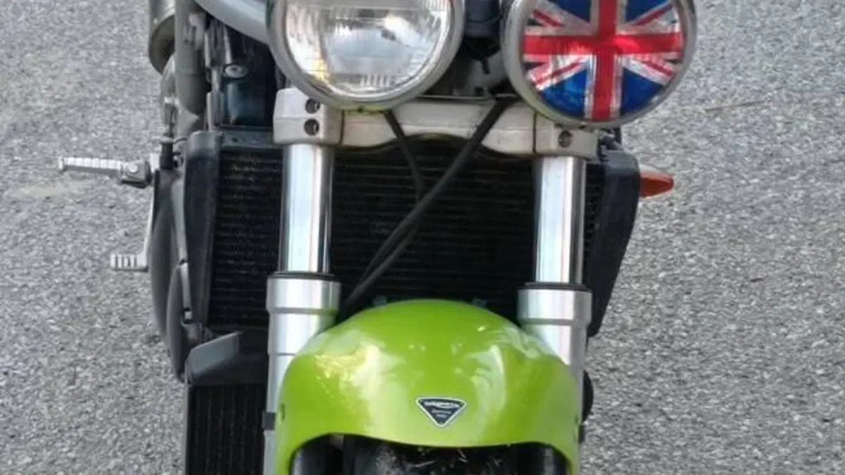 Triumph Speed Triple 955 (1998 - 01)  (5)