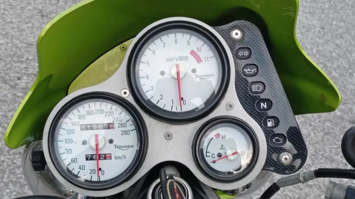 Triumph Speed Triple 955 (1998 - 01)  (6)