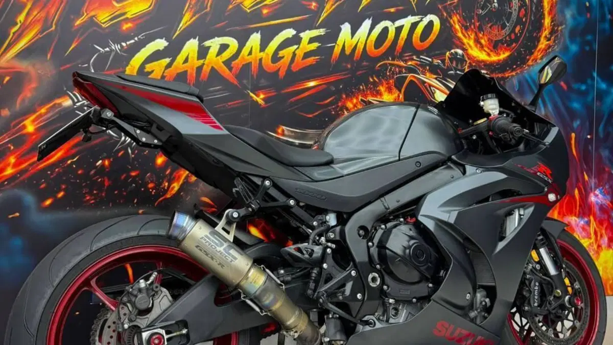 Suzuki GSX-R1000 (2017 - 18)  (2)