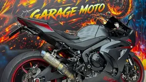 Suzuki GSX-R1000 (2017 - 18)  (2)