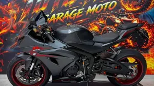 Suzuki GSX-R1000 (2017 - 18)  (3)