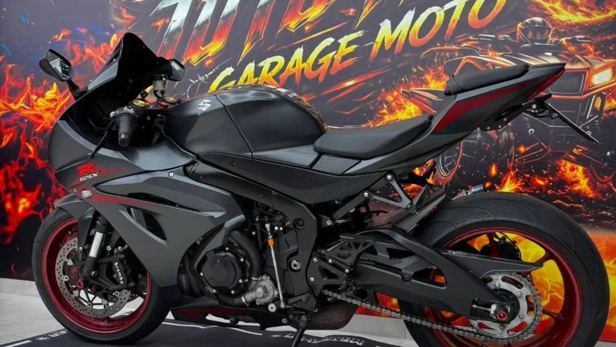 Suzuki GSX-R1000 (2017 - 18)  (4)