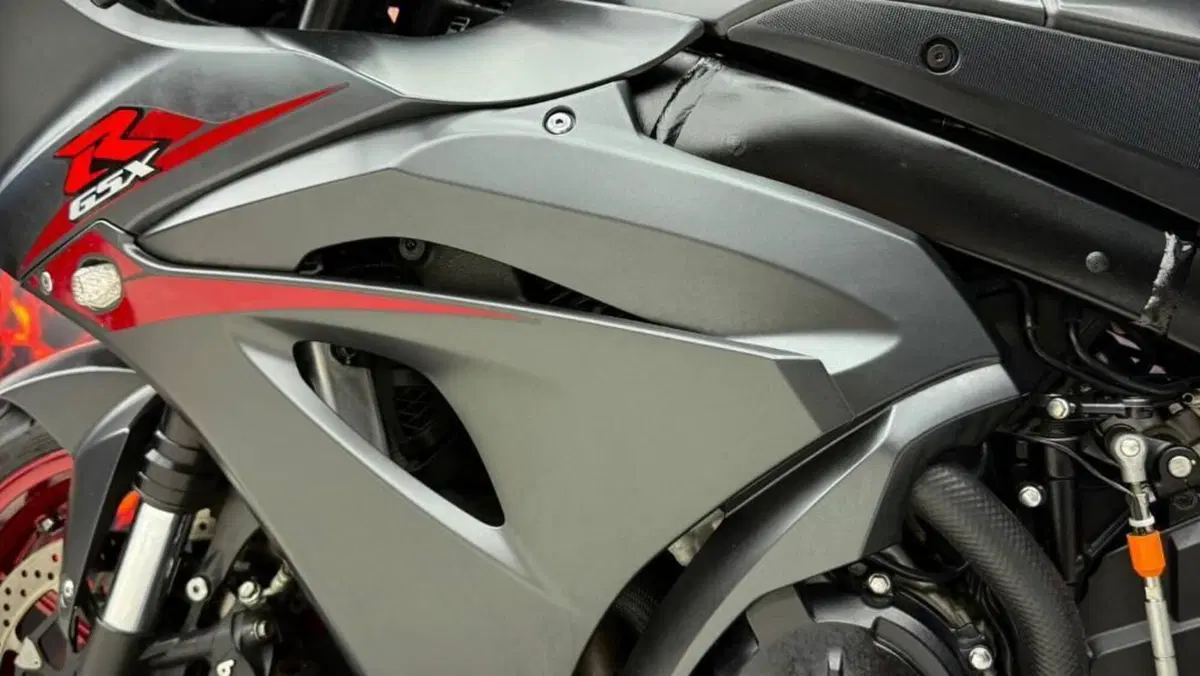 Suzuki GSX-R1000 (2017 - 18)  (6)