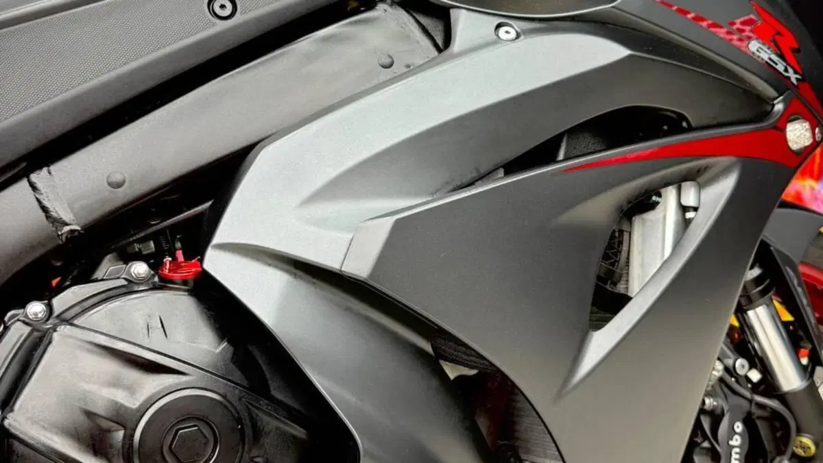 Suzuki GSX-R1000 (2017 - 18)  (7)
