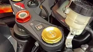 Suzuki GSX-R1000 (2017 - 18)  (9)