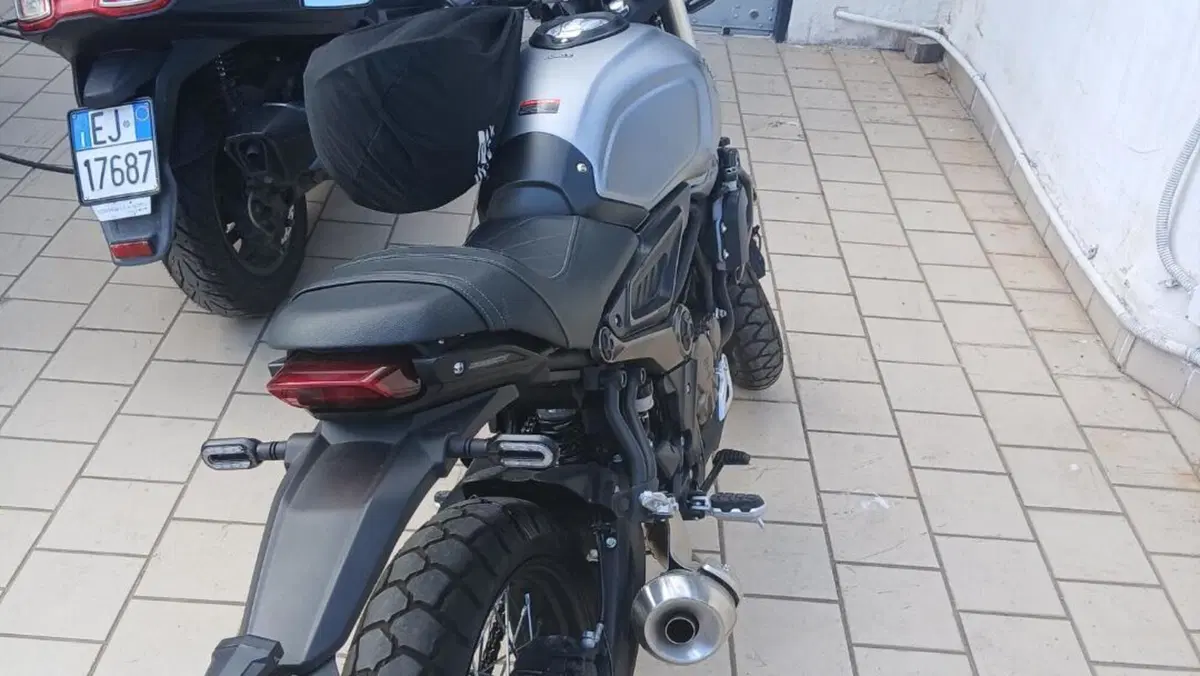 Voge Trofeo 300ACX Scrambler (2021 - 26)  (3)