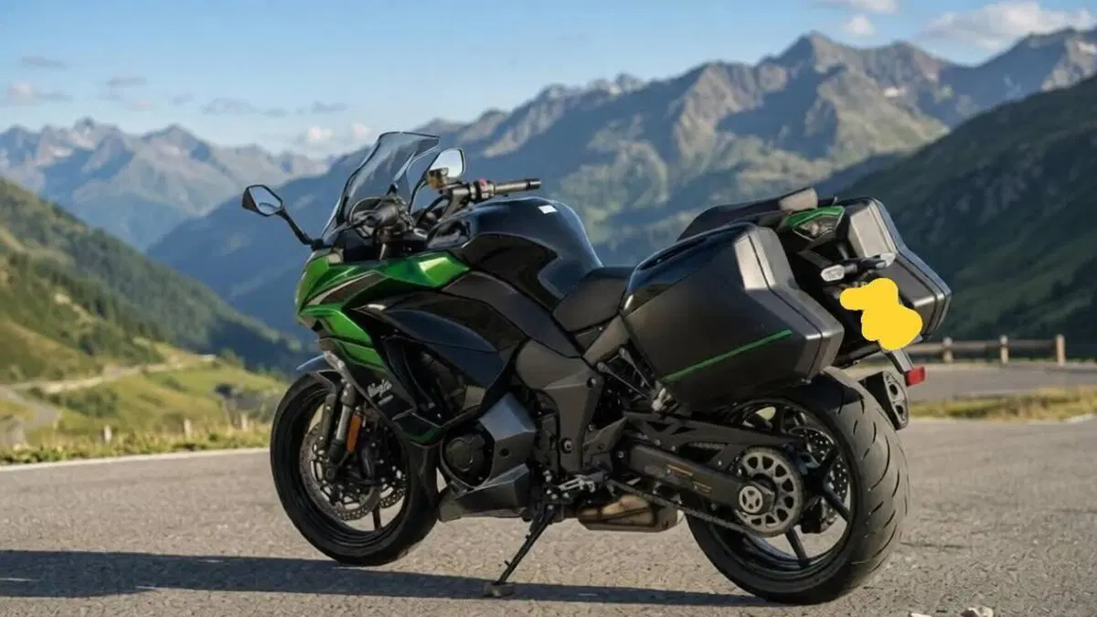 Kawasaki Ninja 1000 SX Tourer (2021 - 24)  (3)