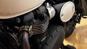 Triumph Street Scrambler 900 (2021 - 22)  (7)